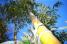 Giant Timber Poles at http://www.thebigbamboocompany.com
